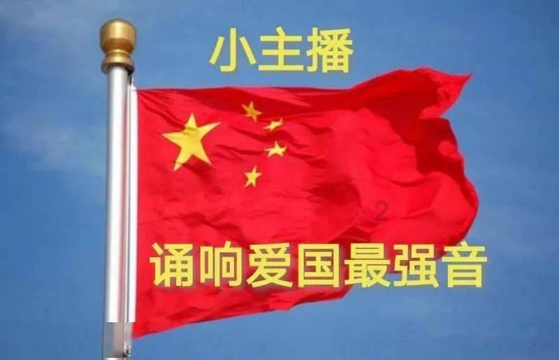 解救金刚鹦鹉
