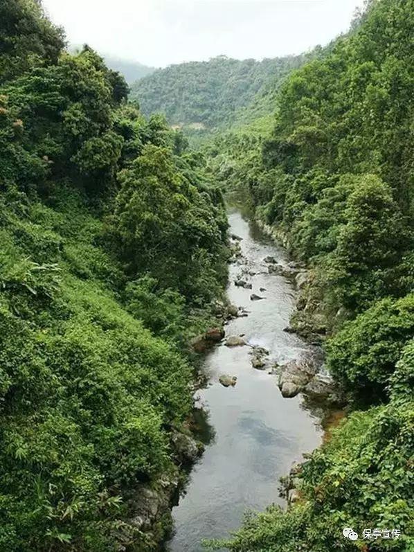 小熊救援